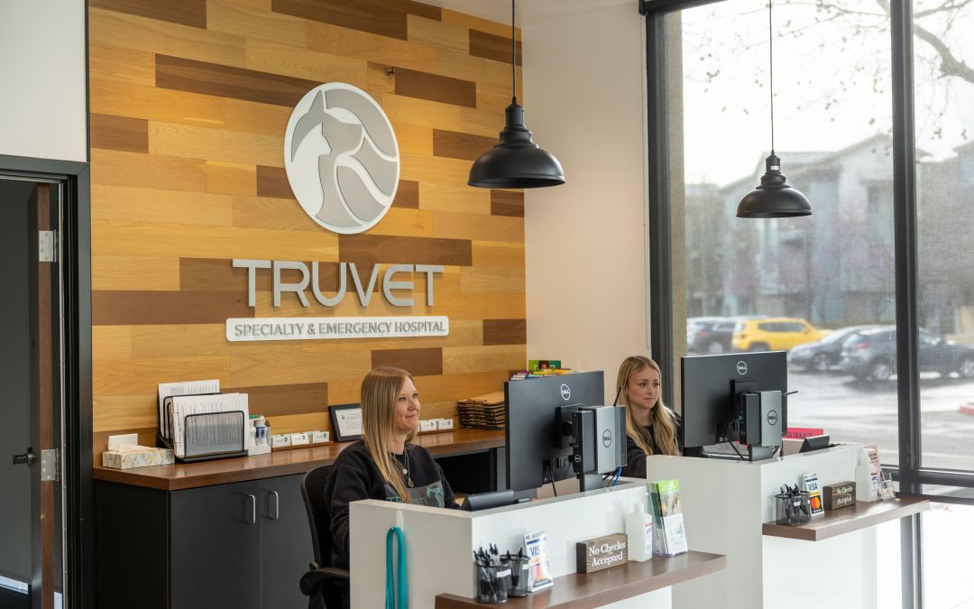 TruVet Specialty and Emergency Hospital reception desk in Petaluma CA