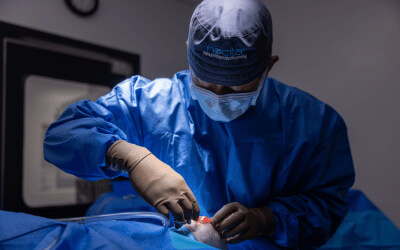 vet doing surgery