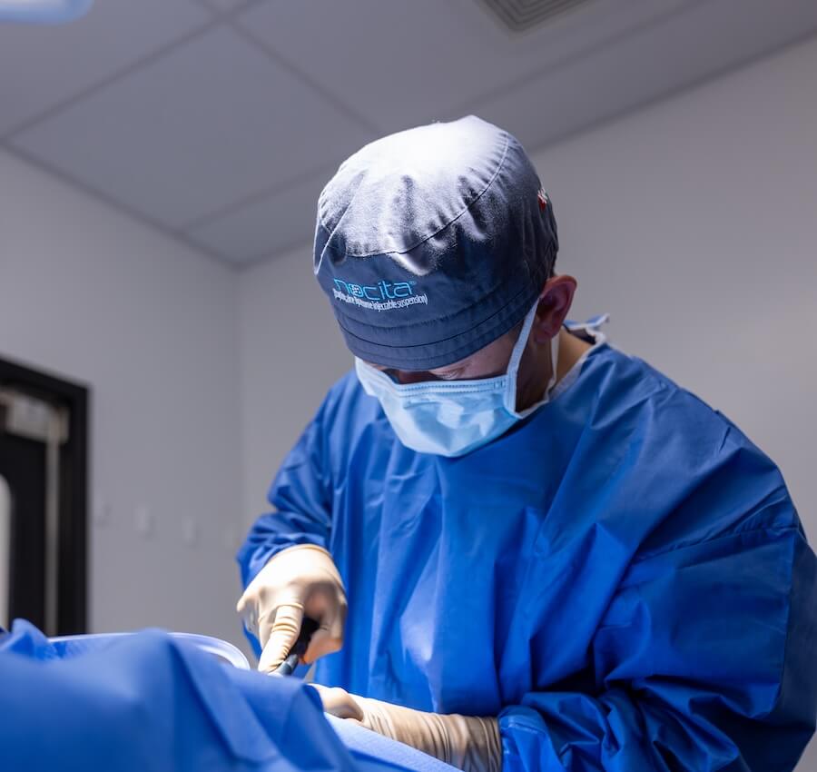 Vet doing surgery