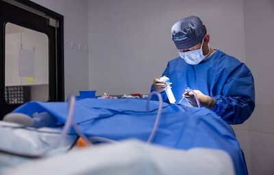 Vet performing surgery on patient