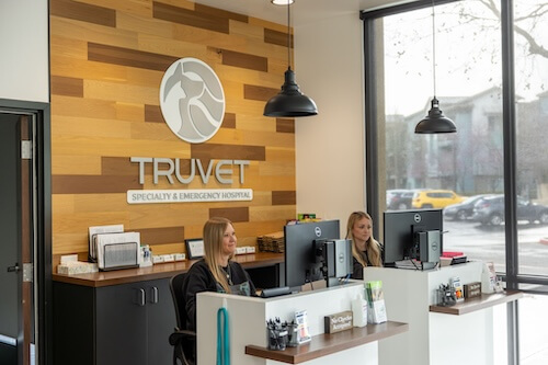 Receptionists