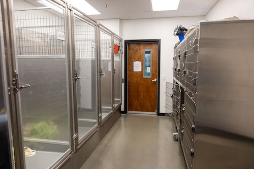 Boarding boxes for animals