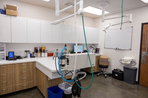 Diagnostic equipment at the vets rooms
