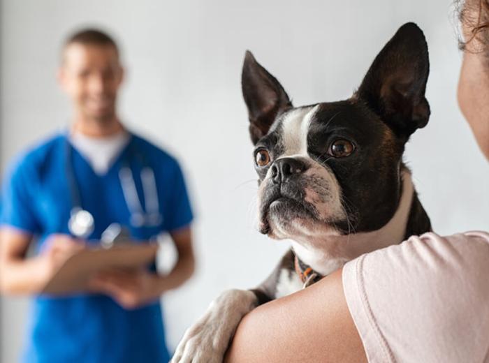 Urgent vs. Emergent: When to Seek Immediate Assistance
