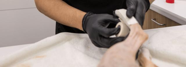 Orthopedic Surgery